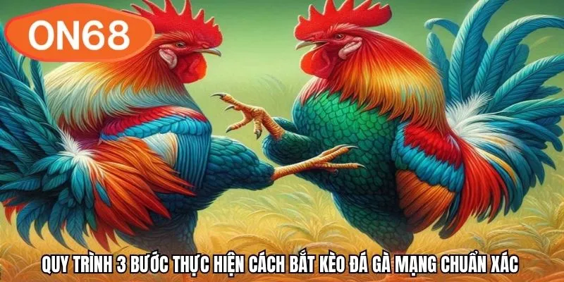 Quy trình 3 bước thực hiện cách bắt kèo đá gà mạng chuẩn xác
